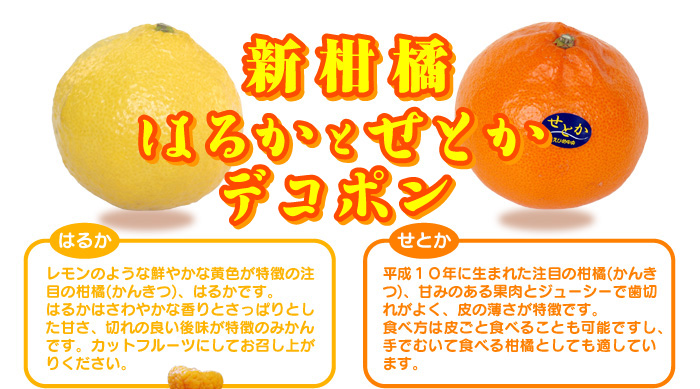 Vk@͂邩ƂƂ@fR|