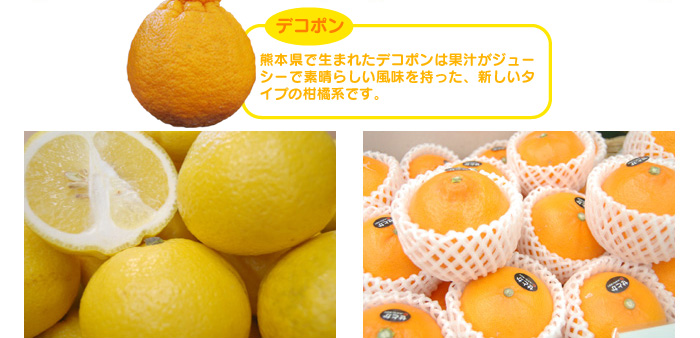 Vk@͂邩ƂƂ@fR|